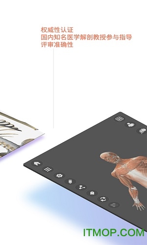 维萨里3d解剖全解锁破解版下载