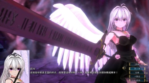 圣骑士莉卡物语 第3张图