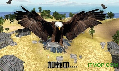 老鹰模拟器 老鹰模拟器游戏下载