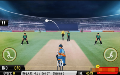 板球世界冠军 第2张图