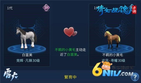 倩女幽魂手游通用版本 第8张图