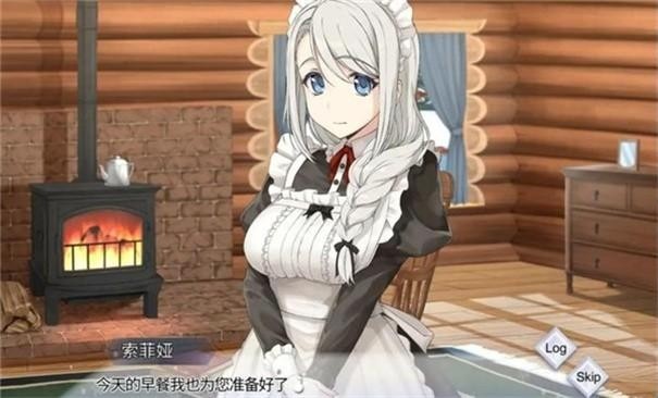 我与索菲亚的秘密手机版