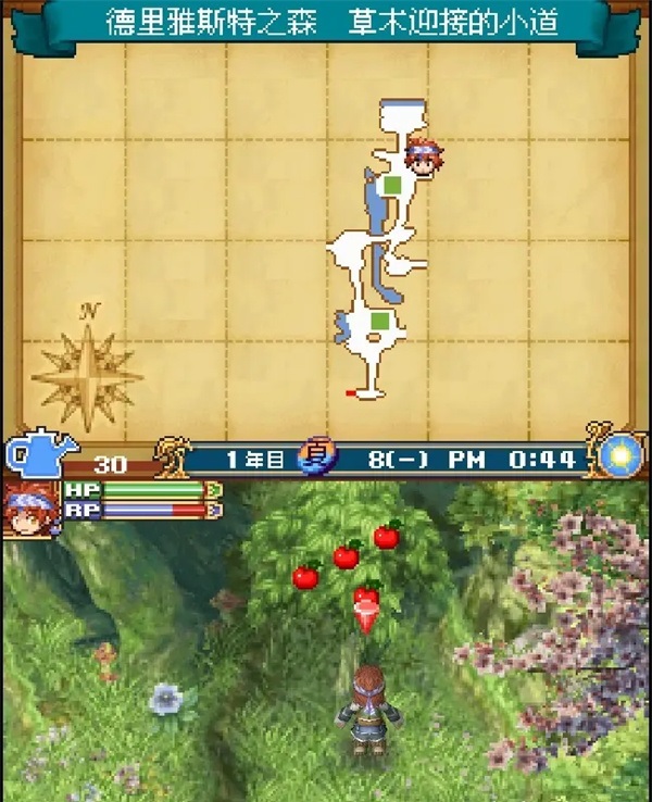 符文工房2新牧场物语