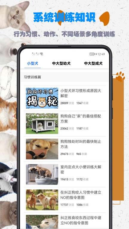 训狗教程APP