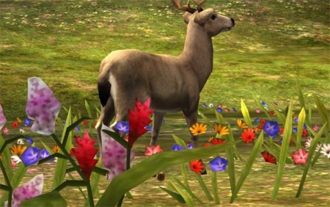 猎鹿人2014 第7张图