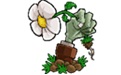 植物大战僵尸95改版修改器