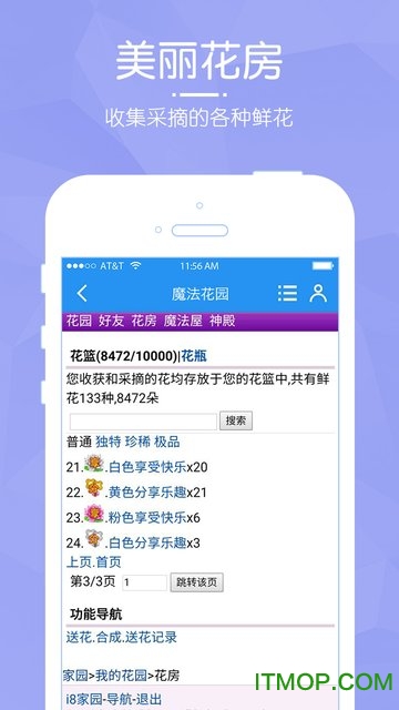 3344魔法花园手机版