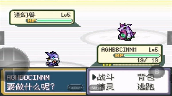 口袋妖怪暴龙版游戏下载