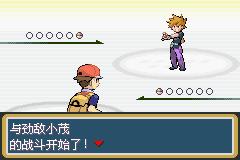 口袋妖怪叶绿金手指