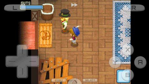 牧场物语之风之集市 第2张图