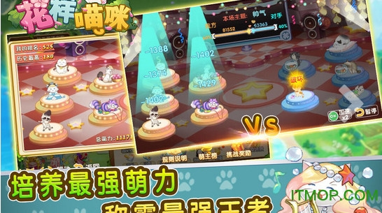 花样喵咪破解版