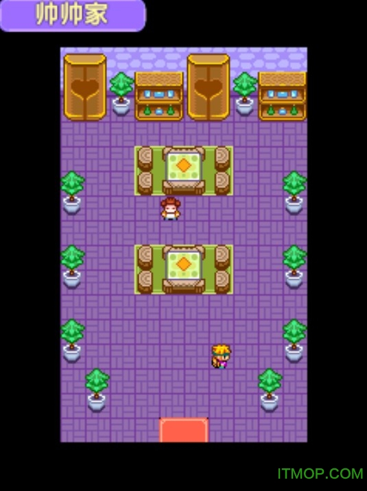 宠物王国2紫破解版