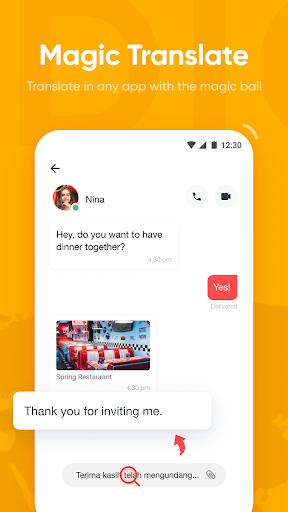 有道词典谷歌版最新版