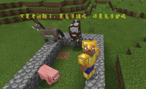 我的世界真实版