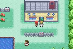 口袋妖怪叶绿金手指