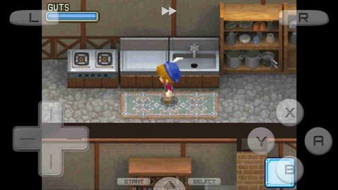 牧场物语之风之集市 第1张图