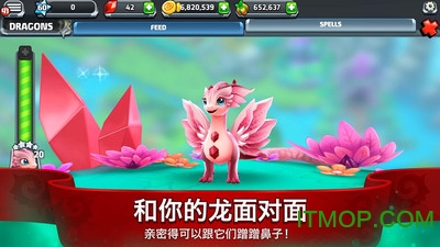 龙谷2手游官方版