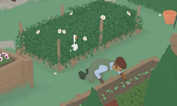 20240731160857715.jpg e9d0caf6-e80c-4d36-9720-798d9ba09068.jpg