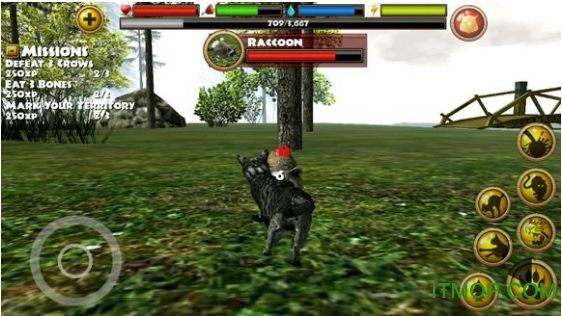 流浪猫模拟器免费版