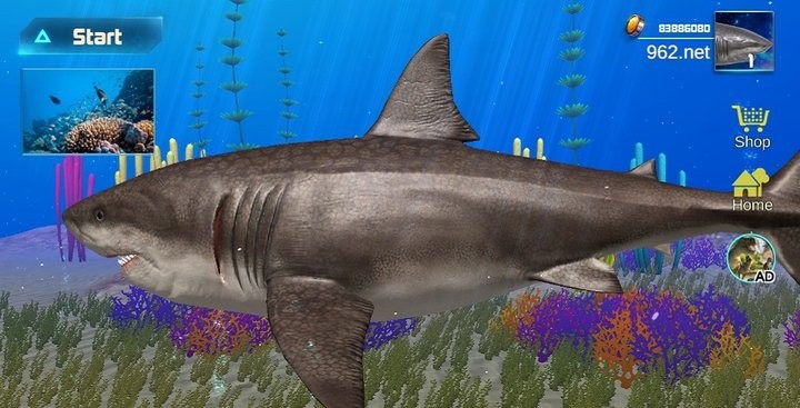 巨齿鲨模拟器游戏