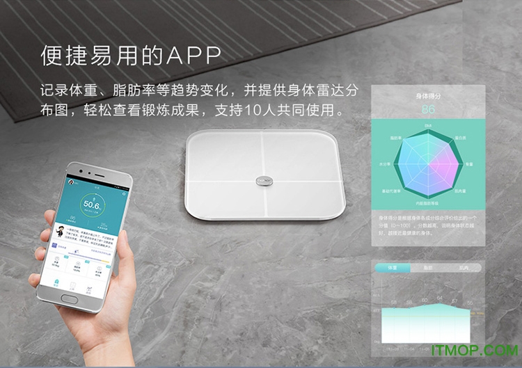 荣耀体脂秤app