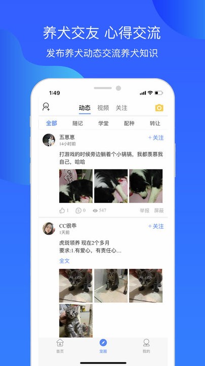 合肥犬卫士app
