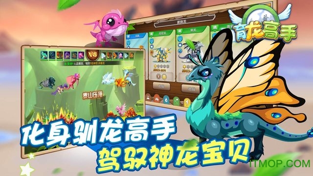育龙高手单机版破解版