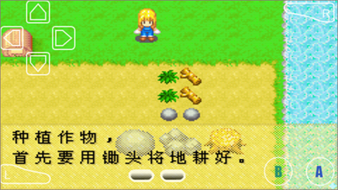 牧场物语女孩版 第1张图