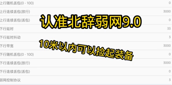 北辞弱网9软件使用方式-2