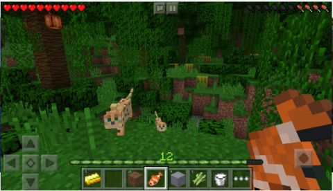 我的世界现实版游戏 第2张图