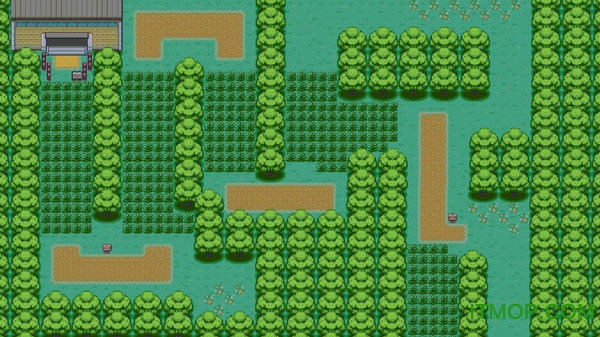 口袋妖怪梦的光点破解版