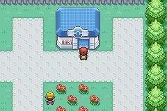 口袋妖怪叶绿金手指