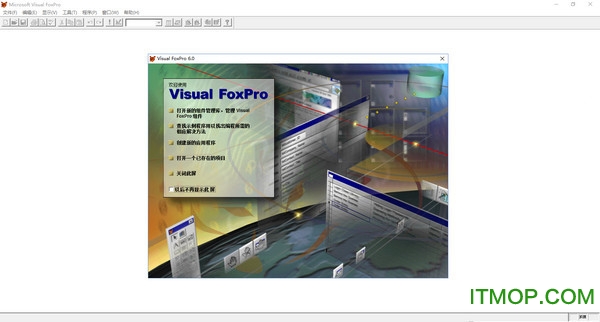 visual foxpro 6.0 简体中文版
