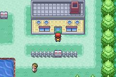 口袋妖怪叶绿金手指