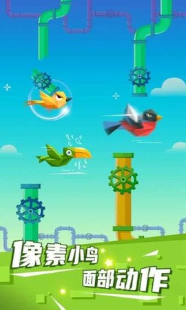 疯狂的小鸟 第2张图