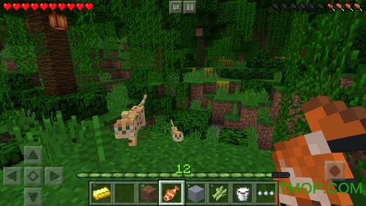 我的世界ios免费下载