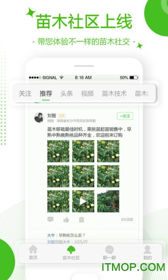 苗木通下载 苗木通